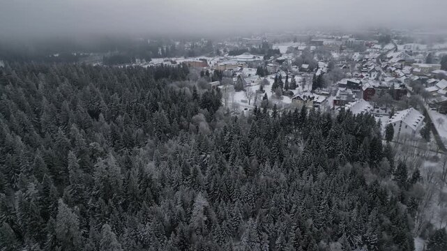 Winter Drone Flight Over Snowy Pine Forest in Thuringian Mountains, Germany, 4K