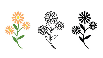 Vibrant flower illustrations in modern graphic designs