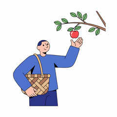 Man Picking Apple from Tree Branch.