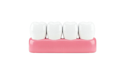 Row of Perfect White Teeth on Pink Gums
