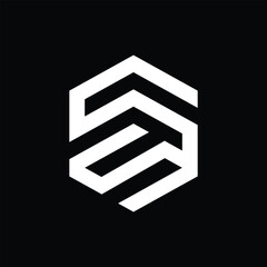 Modern Geometric Hexagonal Lettermark SS Logo