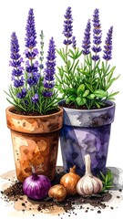 Watercolor illustration of potted lavender, herbs, and aromatics