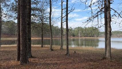 Pine trees and the lake of Maynor Creek Water Park (Waynesboro, MS) in the background.