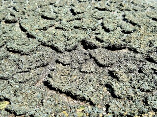 Macro Texture of Dry Cracked Ground and Parched Soil
