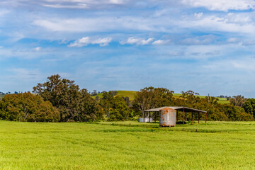 Riverina Countryside in Spring &ndash; Lush Fields Under Clouded Skies
