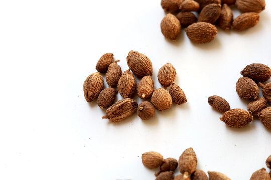 Dried Amomum villosum fruits or Sha Ren