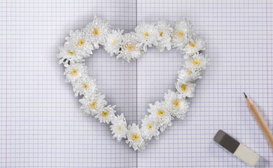 White Flowers Heart on School Notebook with Lined Pages and Pencil with Eraser. Valentines Day and Love Wallpaper Background. File with Clipping Path.