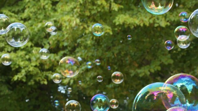 Iridescent Soap Bubbles Floating in Front of Lush Green Summer Trees