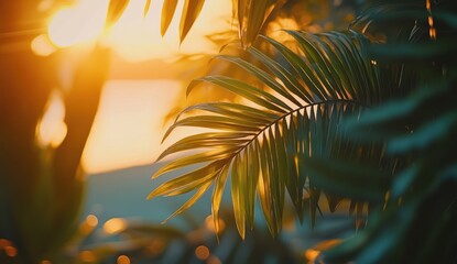 Sunlight filters through the delicate fronds of a palm leaf, creating a stunning display of light and shadow, evoking a sense of tranquility and natural beauty in a tropical setting