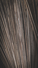Close Up Texture of Coconut Leaf Broom Fibers, Detailed Natural Lines and Organic Patterns from Traditional Handmade Tool