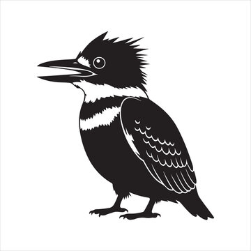 Black kingfisher silhouette, Kookaburra bird silhouette vector illustration