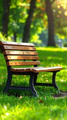 Wooden bench in a sunlit park with a backdrop of green trees