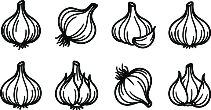 Eight black and white drawn style garlic bulbs on white background in two rows  various perspectives