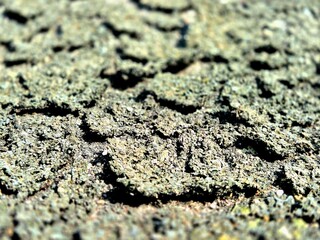 Macro Texture of Dry Cracked Ground and Parched Soil