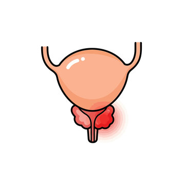 Male prostate gland icon highlighting inflammation for urology health
