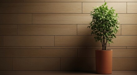 Potted green plant casting shadow on wooden wall texture