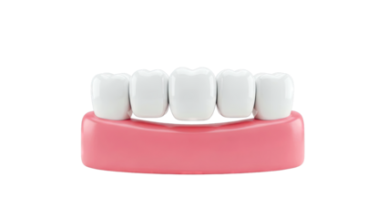 White Teeth on Pink Gums