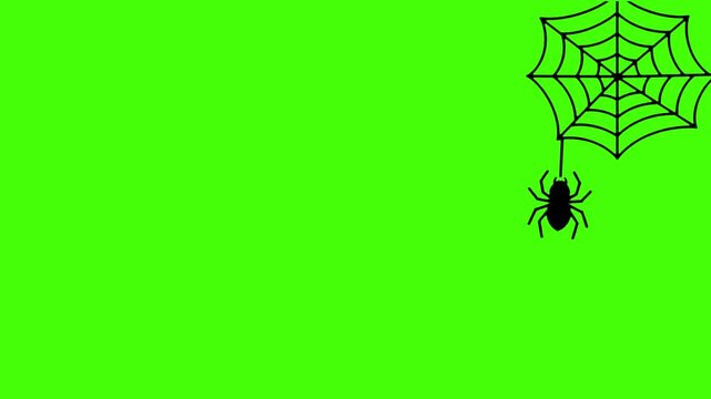 Spider Web Animation VFX - Green Screen & White Background Overlay