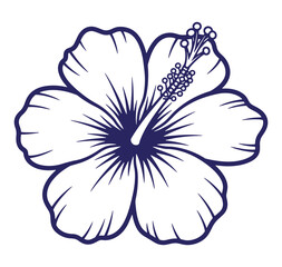 Elegant vector illustration of a hibiscus flower in dark blue outlines on white background