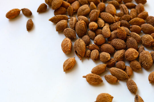 Dried Amomum villosum fruits or Sha Ren