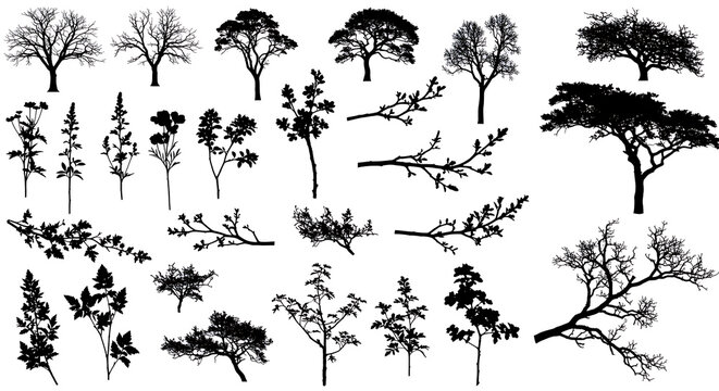Tree Branch Pattern Images – Browse 2,356,753 Stock Photos, Vectors ...