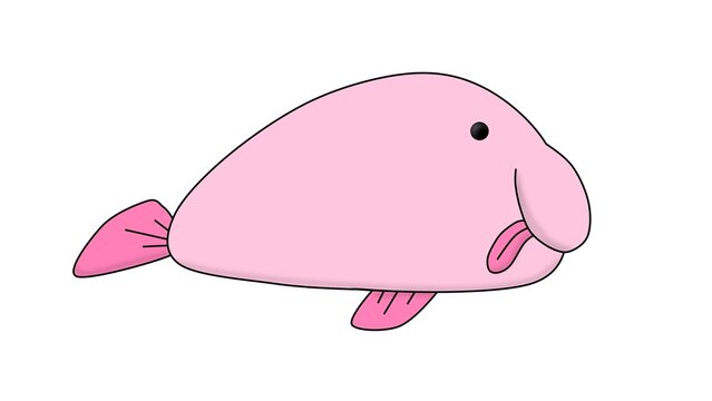 Sideways Blobfish, Simple Cartoon Illustration (White Background)