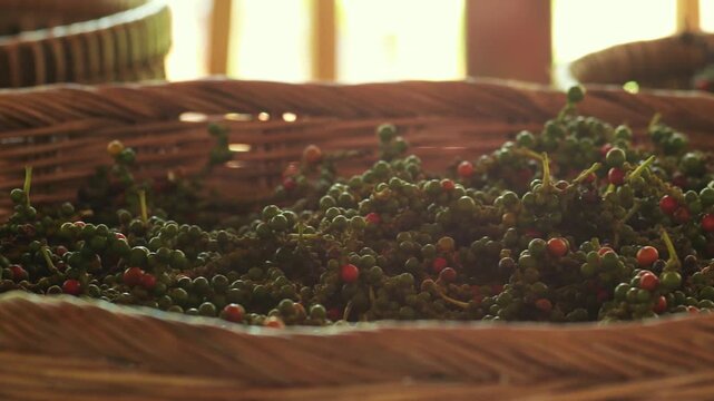 Ripe red and green pepper berries in traditional baskets, Kampot, Cambodia