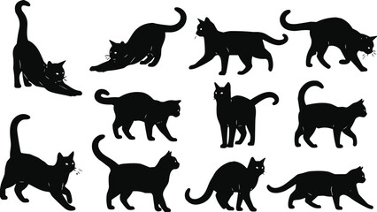 Cat silhouette collection in playful, walking, stretching poses, black and white minimalist illustration set for pets, animals, design, and decoration © Mehedi