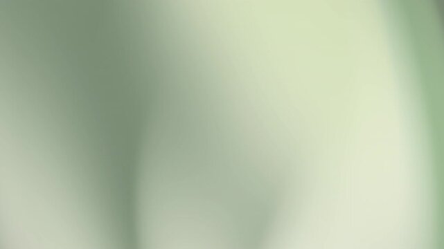 dark green light green white and silver gradient background