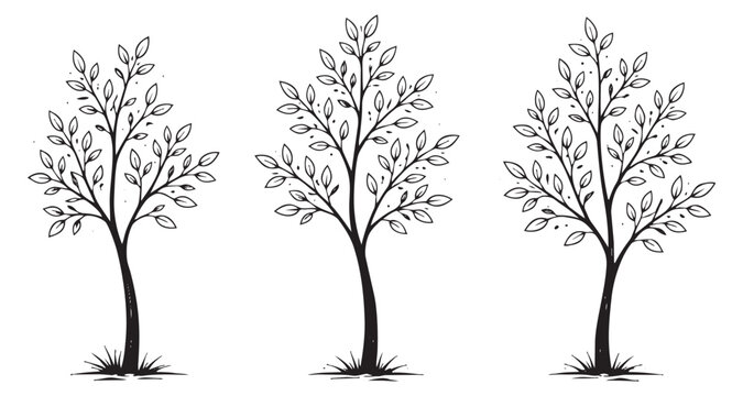 Hand drawn line art tree set featuring simple leafy trees for nature and eco-friendly design