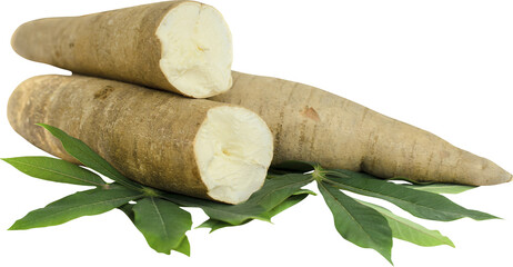 Cassava Isolated On Transparent Background