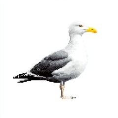 Obraz premium Detailed Pixel Art Seagull Standing White Background Bright Sunlight