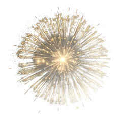Vibrant fireworks explosion in the night sky with golden sparks