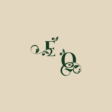 with monogram and leaf concept of elegant beautifull QE wedding organic logo letter