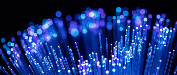 Fiber optic cables glowing, representing data communication technology