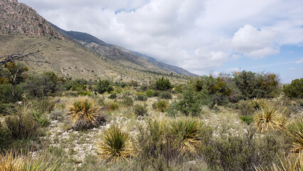 Guadalupe Mountains National Park, Texas