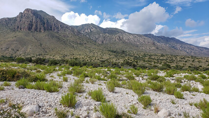 Guadalupe Mountains National Park, Texas