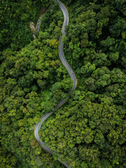 Futuristic aerial view of an autonomous electric vehicle driving along a winding road through green forest, representing AI mobility, smart transportation, and clean energy technology.