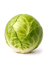 Giant Brussels sprout isolated