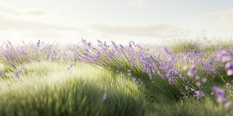 Field of lavender flowers swaying gently in breeze under soft cloudy sky, creating peaceful and dreamy natural landscape with vibrant purple hues