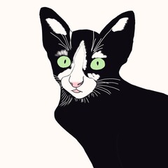 Black cat with white color on face 