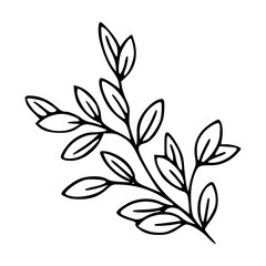 simple botanical leaf branch outline vector