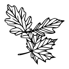 nature and fall season decoration outline