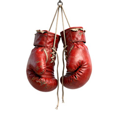 Vintage Red Boxing Gloves Hanging