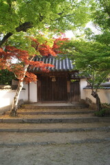 緑と赤の木々がある古い木製の門の風景