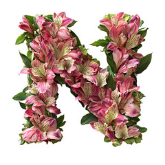 Top view of a 3D letter N made of fresh Alstroemeria flowers isolated on a white transparent background