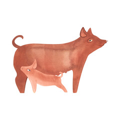 Yorkshire pig with piglet. Farm animals, livestock. Characters for an article about village life. Isolated watercolor illustration for a children's encyclopedia.