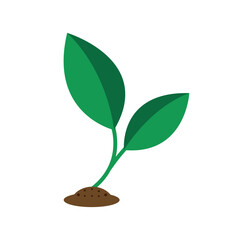 Vibrant green seedling emerging from the soil, symbolizing fresh plant growth and the promising potential of new beginnings in nature's cycle