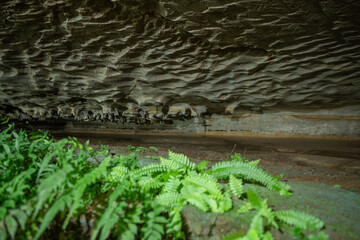 old stone wall with moss