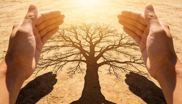 Point of view of human hands casting a long shadow of a large leafless tree onto dry cracked desert ground under a bright sun representing climate change and environmental loss - Powered by Adobe